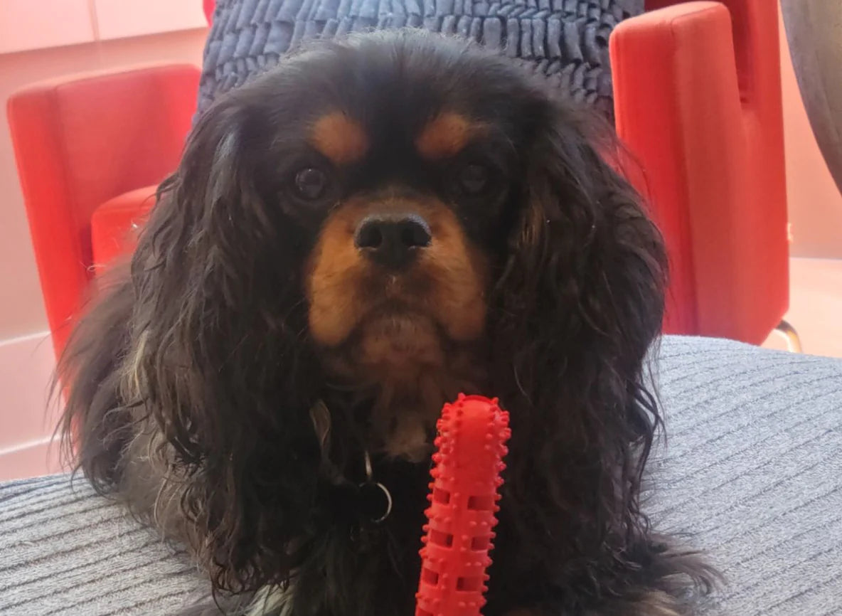 ChewMate™