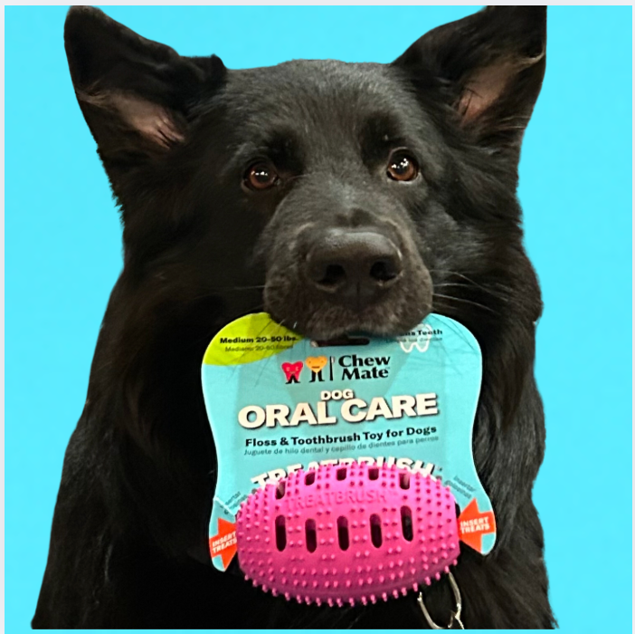 Natural Rubber Football Oral Care Toy for Medium and Large Dogs (20-50 Lbs)