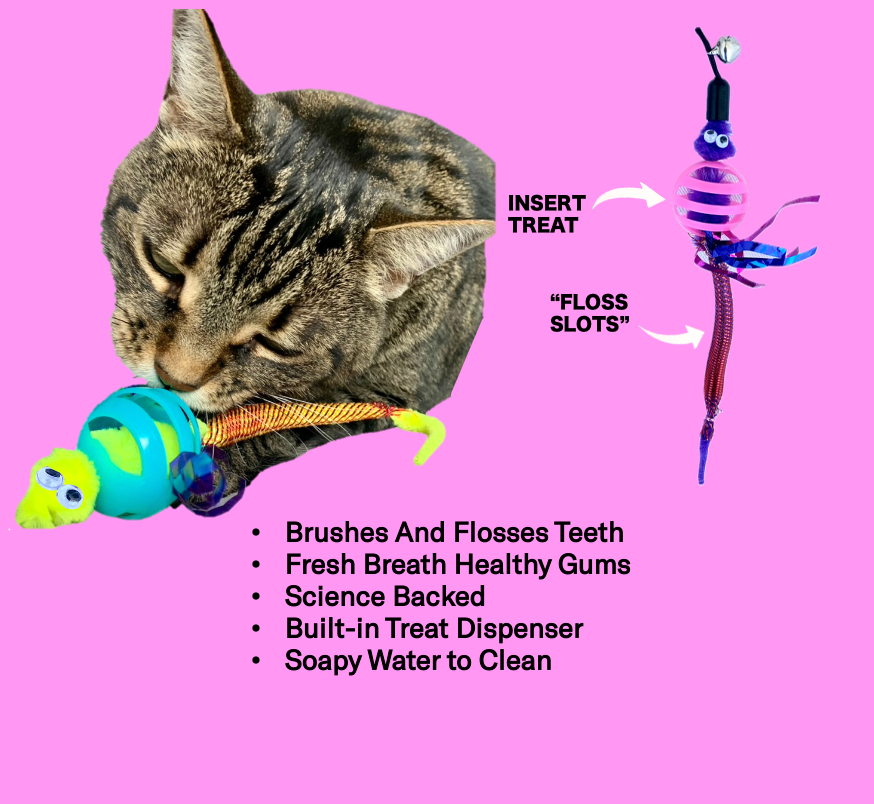 Oral Care Floss & Treat Toothbrush Toy for Cats