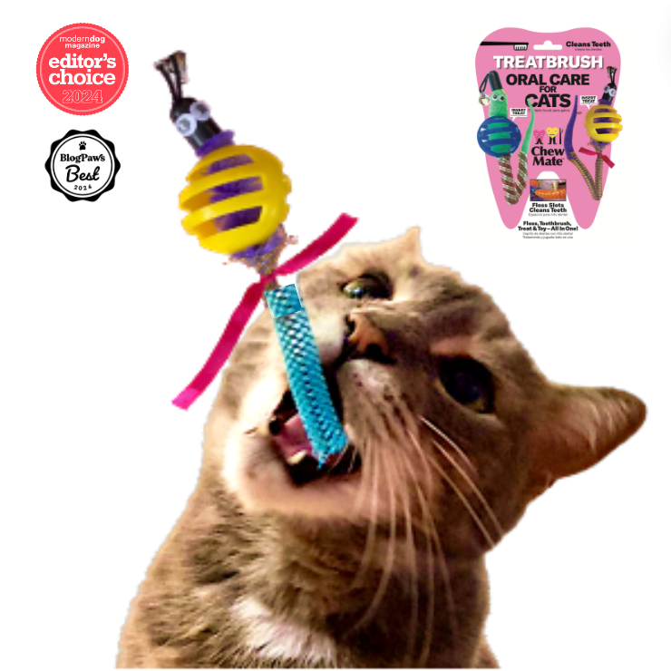Cat Ball TREATBRUSH Wholesale