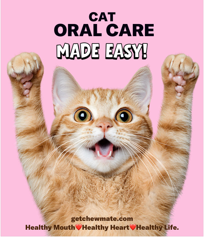 Cat Oral Care Floss & Treat Toothbrush Toy
