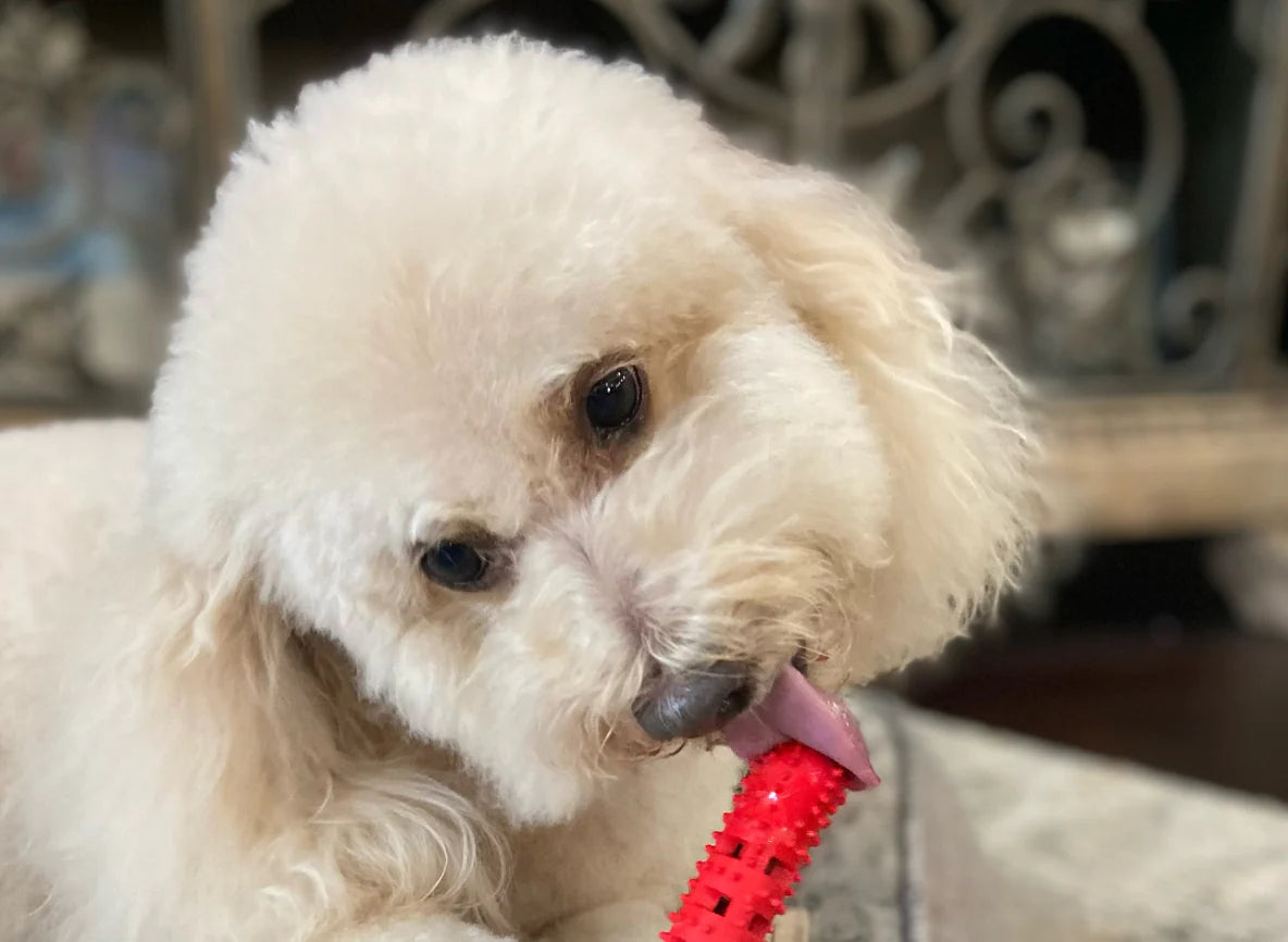 ChewMate™
