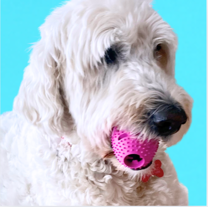 Natural Rubber Football Oral Care Toy for Medium and Large Dogs (20-50 Lbs)