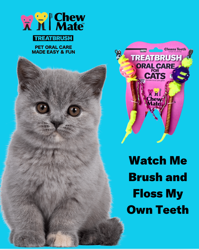 Oral Care Floss & Treat Toothbrush Toy for Cats (2-Pack)