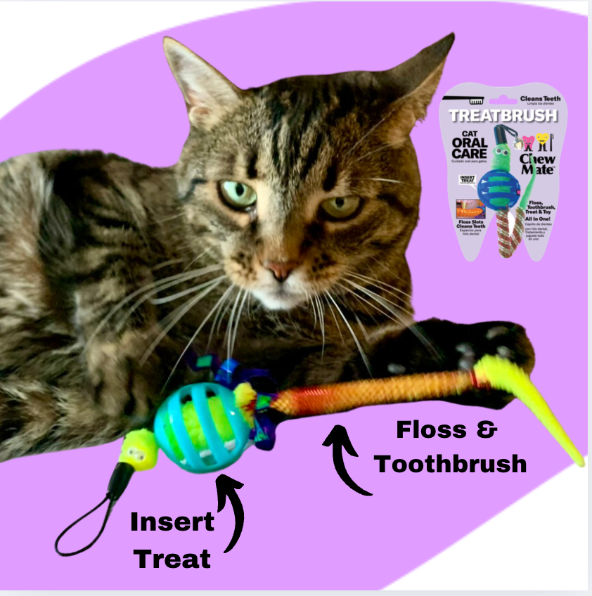 Oral Care Floss & Treat Toothbrush Toy for Cats