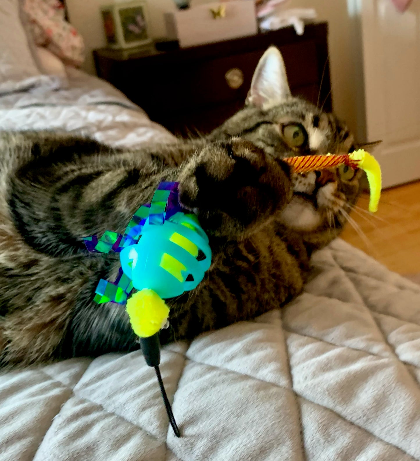 Oral Care Floss & Treat Toothbrush Toy for Cats