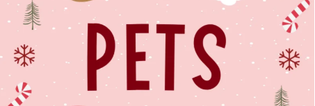 Life with Kathy (9K) included ChewMate in her holiday guide for pets!