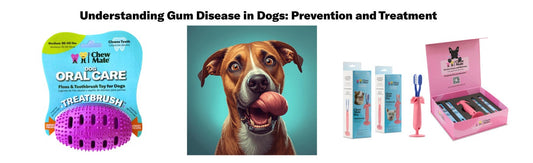 Understanding Gum Disease in Dogs: Prevention and Treatment