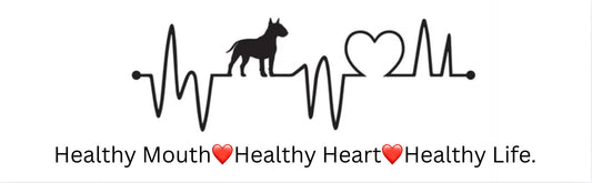 The Connection Between Dog Health and Dental Hygiene