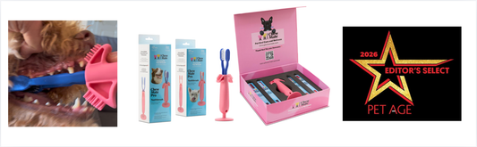 Top Dog Toothbrushes for Effective Teeth Cleaning