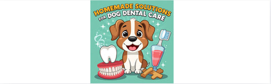 DIY Dog Dental Care: Homemade Solutions for Healthy Teeth