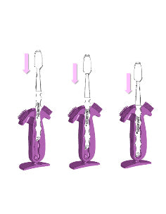 Adjust length of toothbrushes so that the brush approximates the back molars