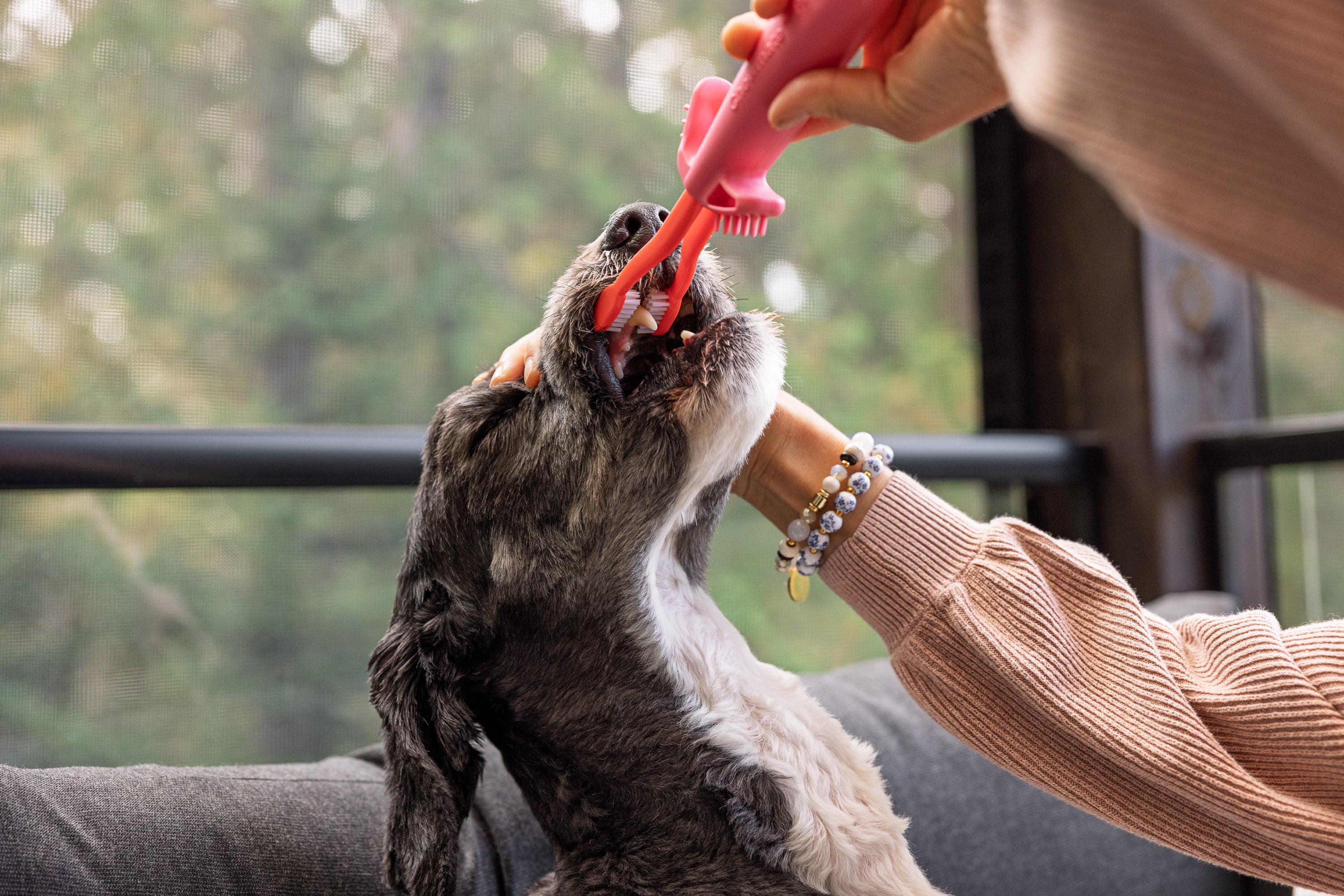 Chewmate Pro Toothbrush for Dogs