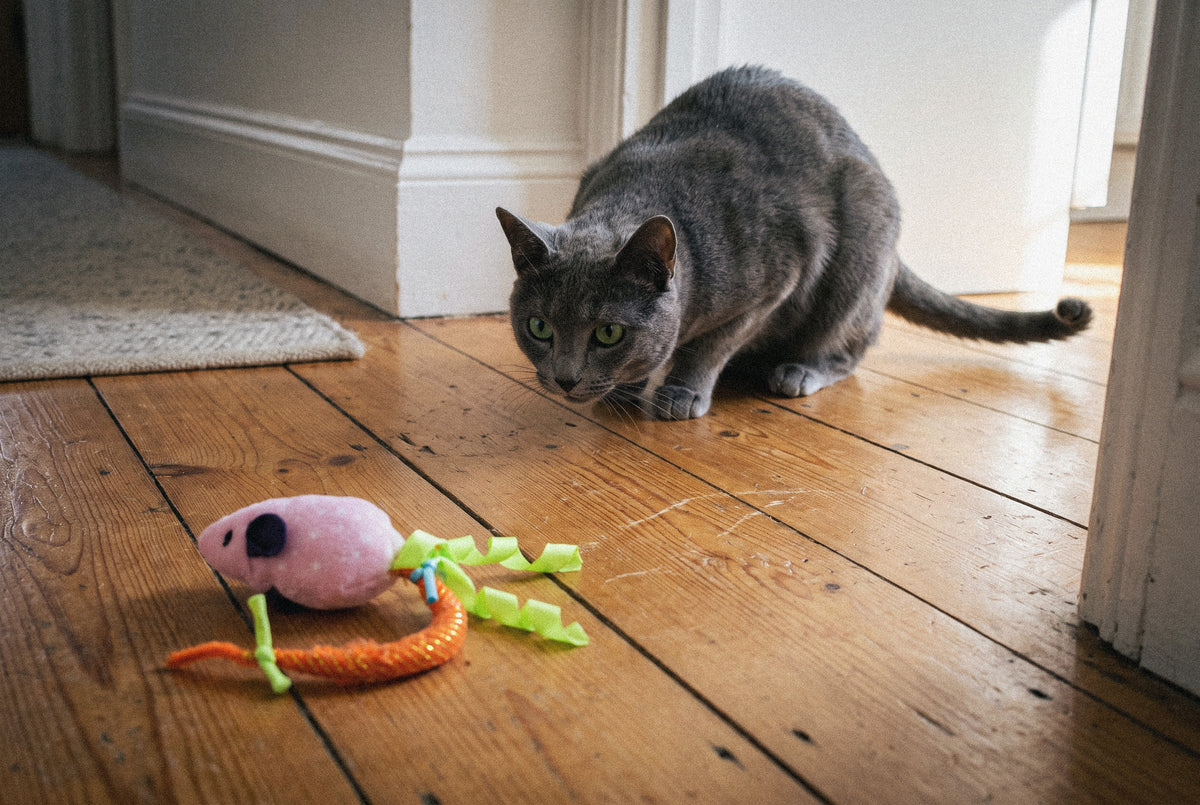 Cat Oral Care Floss & Treat Toothbrush Plush Toy