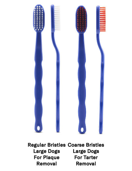 Select Bristle type: Start with Regular ( White) Bristles to remove plaque,thenCoarse Bristles ( ...
